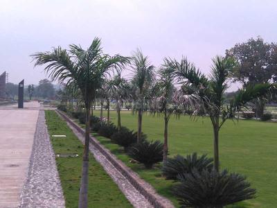 Oyster Green Mount City Amenities 2