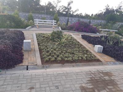 Project Image of 616.88 - 5064.85 Sq.ft Residential Plot Plot for buy in Classic The Sanctuary Phase IV