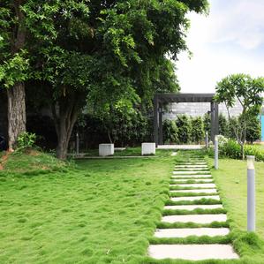 Project Image of 1200.0 - 1650.0 Sq.ft Residential Plot Plot for buy in Pionier Lifestyle