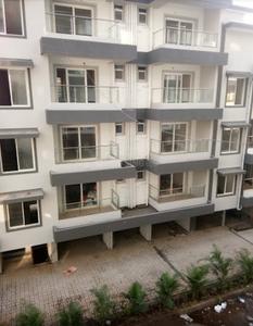 Models Legacy Elevation 2