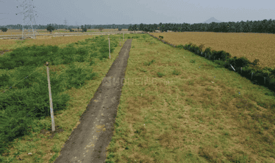 Project Images