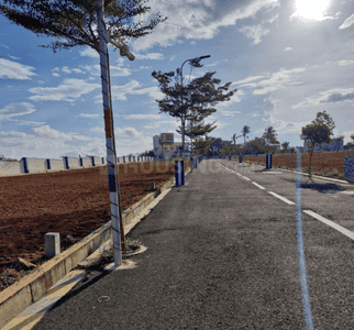Project Images