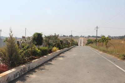 Project Image of 1200.0 - 5000.0 Sq.ft Residential Plot Plot for buy in AVS De Flora