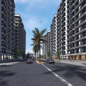 Project Images