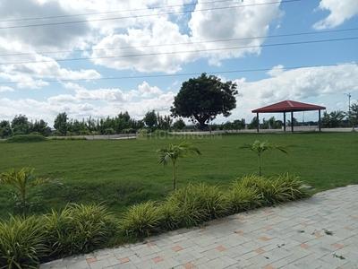 Mauli Town 30 Landscape Garden and Tree Planting 2