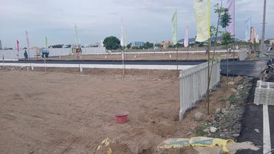 Project Image of 1000.0 - 1864.0 Sq.ft Residential Plot Plot for buy in Value The Madras Avenue