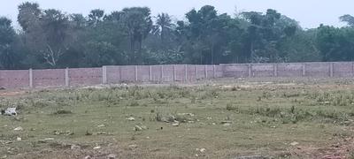 Project Image of 720.0 - 2160.0 Sq.ft Residential Plot Plot for buy in Panchavati Garden
