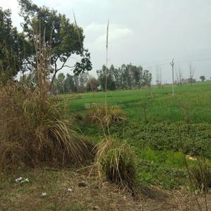Project Image of 450.0 - 10350.0 Sq.ft Residential Plot Plot for buy in Shubham Jewar City