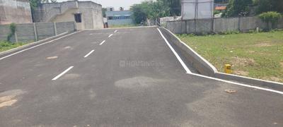 Project Image of 1178.0 - 1782.0 Sq.ft Residential Plot Plot for buy in Sumangali Nagar