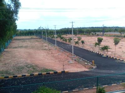 Windsor Township Coral Country