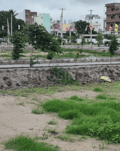 Project Image of 1468.95 - 3419.8 Sq.ft Residential Plot Plot for buy in Golden Grand City