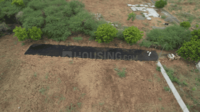 Project Images