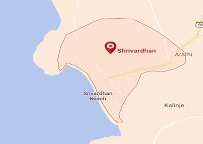 Project Image of 431.0 - 9623.0 Sq.ft Residential Plot Plot for buy in Punir Gaurav Phase 1 Shriwardhan