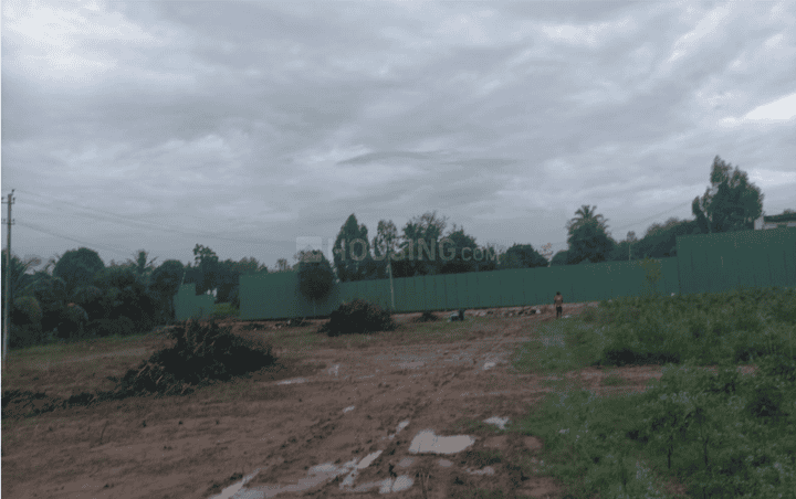 Gallery Cover Pic of Tattvam Midori