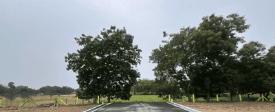 Project Images