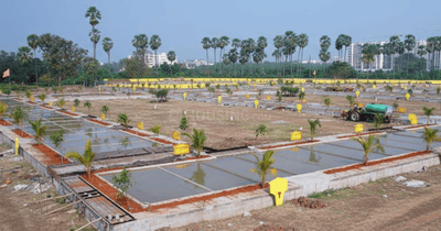 Project Image of 1101.69 - 1931.91 Sq.ft Residential Plot Plot for buy in Chaturbhuja Trimbak Oaks Phase 5