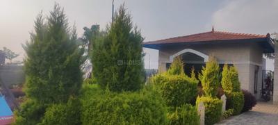 Value Port Landscape Garden and Tree Planting 3