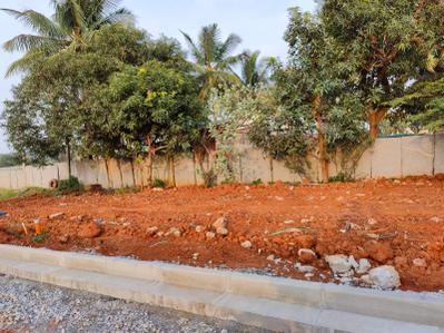 Project Image of 541.1 - 5995.5 Sq.ft Residential Plot Plot for buy in Pionier Central Avenue