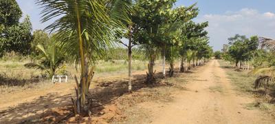 Project Image of 1089.0 - 5445.0 Sq.ft Residential Plot Plot for buy in Vaishnavi Emerald
