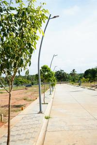 Shivaroy Orchards Internal Roads & Footpaths 3