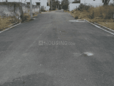 Project Images