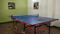 KG Earth Homes Table Tennis 3