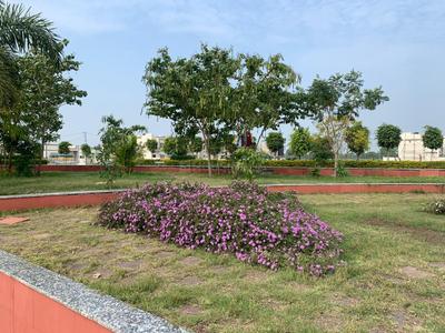 Project Image of 800.0 - 1500.0 Sq.ft Residential Plot Plot for buy in Amaltas Golden Mile
