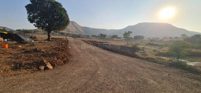 Project Image of 0.0 - 1087.0 Sq.ft Residential Plot Plot for buy in Grace Sunshine Farm