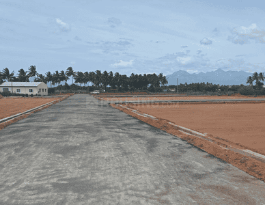 Project Images
