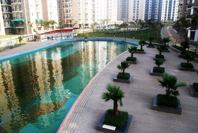 Project Image of 950.0 - 2300.0 Sq.ft 2 BHK Apartment for buy in Amrapali Zodiac