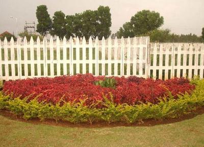 Project Image of 4000.0 - 5400.0 Sq.ft Residential Plot Plot for buy in Vakil Club Class
