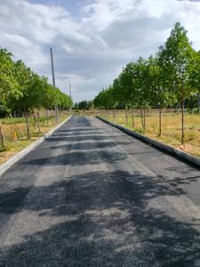 Project Image of 1440.0 - 2547.0 Sq.ft Residential Plot Plot for buy in Viraaditya Green Avenue