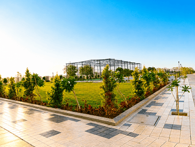 Airen Akashneem Vara Landscape Garden and Tree Planting 3