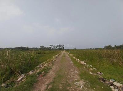 Project Image of 1440.0 - 3600.0 Sq.ft Residential Plot Plot for buy in S A Nest Valley Part 3