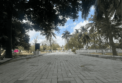 Project Images