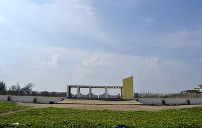 Project Image of 6646.0 - 14546.0 Sq.ft Residential Plot Plot for buy in Olive Sands