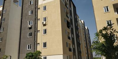 Praneeth Pranav Flora Elevation 2
