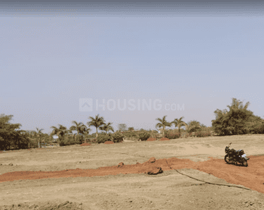 Project Image of 0.0 - 1192.86 Sq.ft Residential Plot Plot for buy in Ask City Phase 2