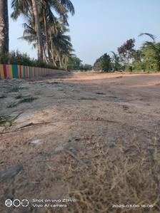 Natures Paradise Plot 2