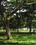 Galaxy Golden Dale Landscaped Gardens 2