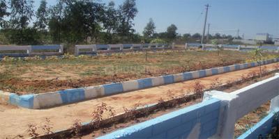 Project Images