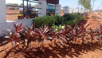 Project Image of 1323.0 - 14823.0 Sq.ft Residential Plot Plot for buy in Dhanwin The Golden Gate