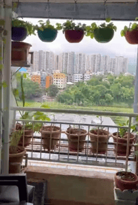 Project Image of 460.0 - 615.0 Sq.ft 1 BHK Apartment for buy in Om Chidanand Audumbar Phase 1