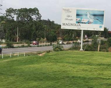 Project Image of 1800.0 - 2400.0 Sq.ft Residential Plot Plot for buy in Magnolia Temple Tree