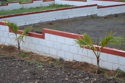 Project Image of 0.0 - 1131.0 Sq.ft Residential Plot Plot for buy in Landmark Elite II