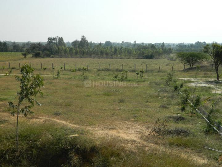Green Happy Valley Main Image 1