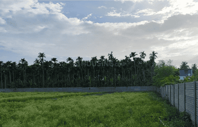Project Images
