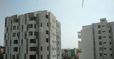 Project Images