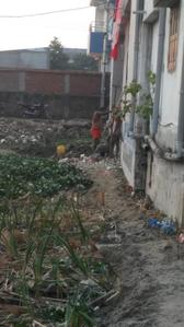 Gallery Cover Pic of Anchita Ram Enclave
