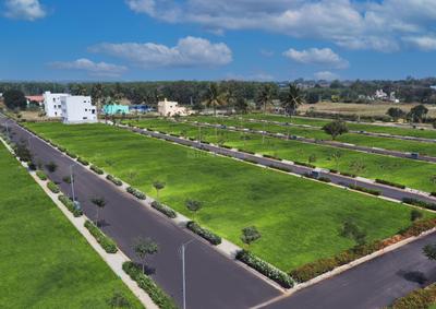 RBD Meadows Elevation 1